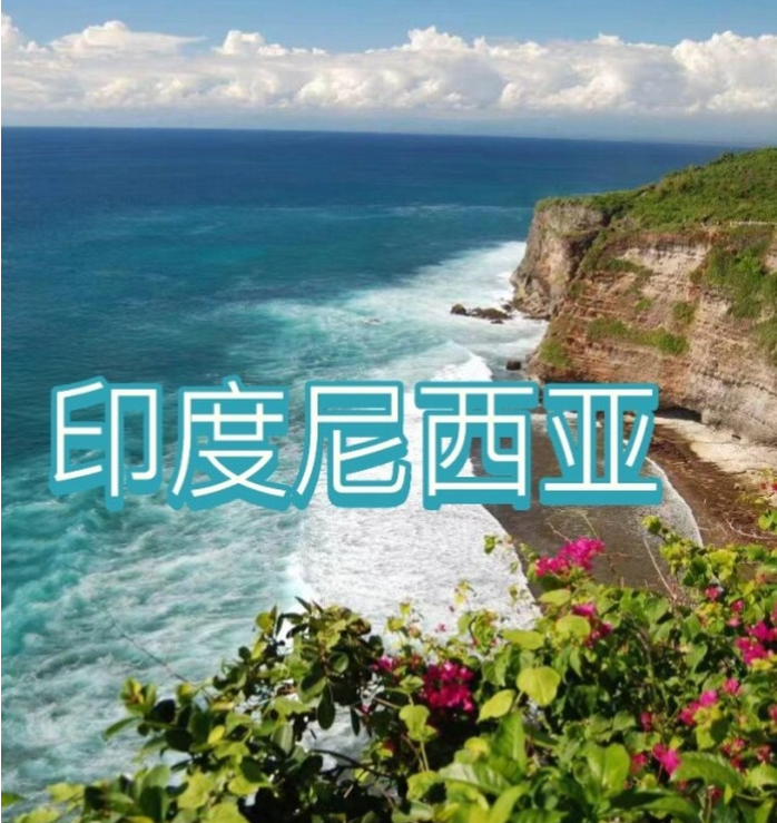 国际电商(印尼)产业博览会AG真人登录2025中国