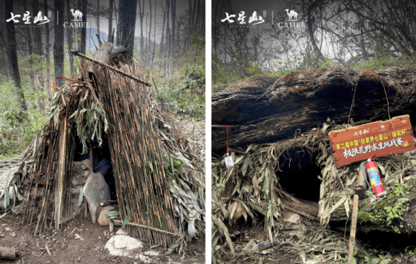 野骆驼不想只做“景区顶流”AG真人国际网站从大街到山(图4)